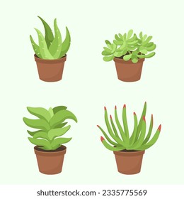 Collection of Succulent plant with flat style.
