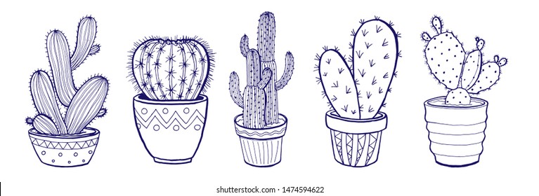 Collection of succulent plants and cactuses in pots. Black and white hand drawn vector illustration set of botanical florals