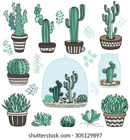 Collection of succulent plants and terrarium. Vector. Nature clip-art