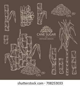Collection of  sugarcane: cane sugar and sugarcane. Vector hand drawn illustration.
