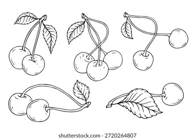 Colección de esquemas de cerezas de verano, bocetos de frutas simples. Gráficos de Vector.