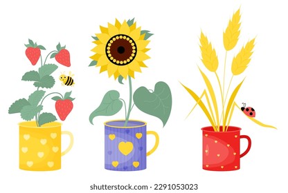 Collection summer cups with flower, berries and insects. Yellow sunflower, bouquet of spikelets with ladybug and branch with strawberries and cute bee. Vector illustration in flat style