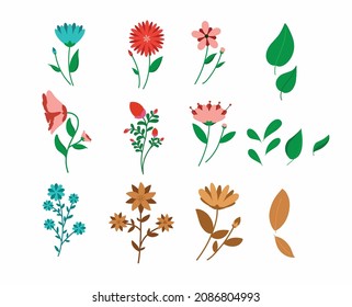 Collection of summer flowers in flat design