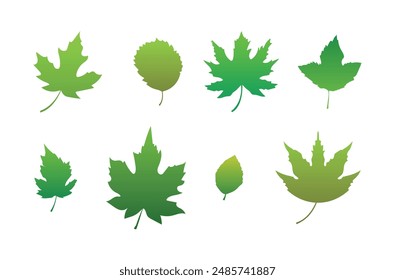 Collection of summer green leaves. Leaf fall. EPS10
