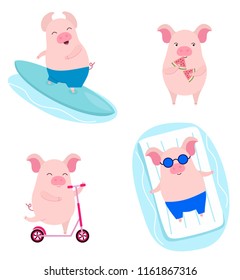 Collection of summer pigs. Vector illustration.