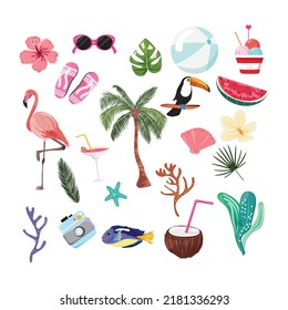 Collection of summer tropical elements and animals. Set of tropical items.