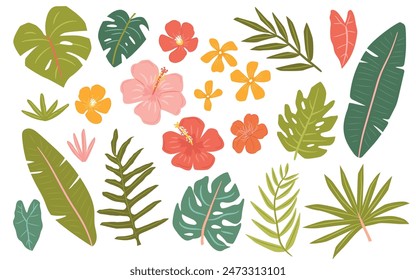 Colección de flores y hojas tropicales de verano Ilustración vectorial