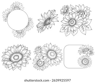 Collection of sunflowers and decorative frames, hand drawn botanical line drawing, vector floral line art illustration for wedding, logo, advertising, packaging