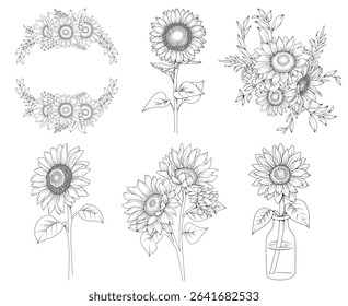 Collection of sunflowers and decorative frames, hand drawn botanical line drawing, vector floral line art illustration for wedding, logo, advertising, packaging