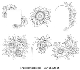 Collection of sunflowers and decorative frames, hand drawn botanical line drawing, vector floral line art illustration for wedding, logo, advertising, packaging