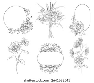 Collection of sunflowers and decorative frames, hand drawn botanical line drawing, vector floral line art illustration for wedding, logo, advertising, packaging