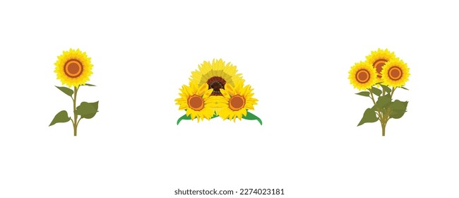 collection of sunflowers in the form of illustrations