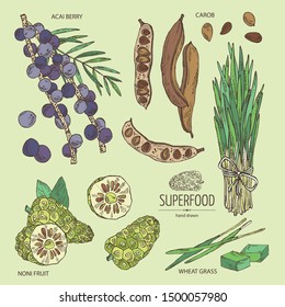 Collection of super foods: acai berries, noni fruits, wheat grass and carob pods. Vector hand drawn illustration. 