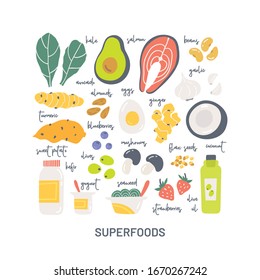 Collection of super foods hand drawn icons with text isolated on white background