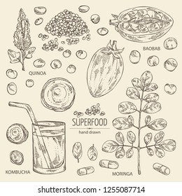 Collection of superfoods: baobab, quinoa seeds, moringa, and kombucha mushroom. Super food. Vector hand drawn illustration