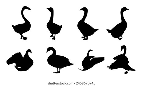 collection of swan animal silhouettes