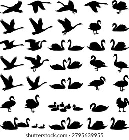 Collection of swan silhouettes in various poses