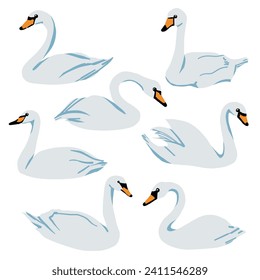 Collection of swans. Vector illustration of cartoon swan birds in different actions. Isolated on white.