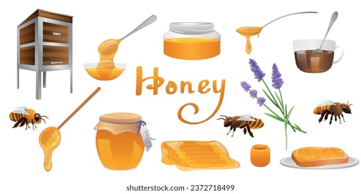 Collection of sweet honey with bees, lavender flowers, hive, com