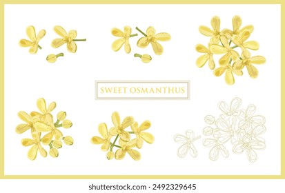 A collection of Sweet Osmanthus Flower in various shapes and sizes, arranged in a seamless pattern on a white.