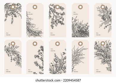 Collection of tags with conifers and berries. Botanical elements. Vector drawing. Twigs of holly and juniper. Christmas. Winter or autumn decor. Black and white.