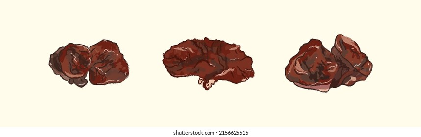 Collection of Taiwan ingredient black fungus in vector illustration art design