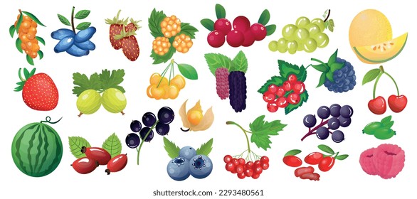 Collection of tasty fruits and berries on white background