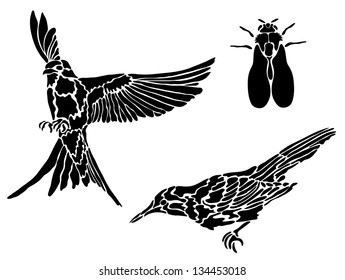 Collection of tattoos of birds