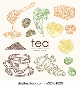 Collection of tea, cup of tea, linden flower, lemon, ginger and honey. hand drawn.