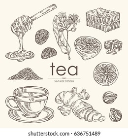 Collection of tea, cup of tea, linden flower, lemon, ginger and honey. hand drawn