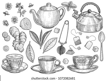 Collection Of Tea Illustration, Drawing, Engraving, Ink, Line Art, Vector