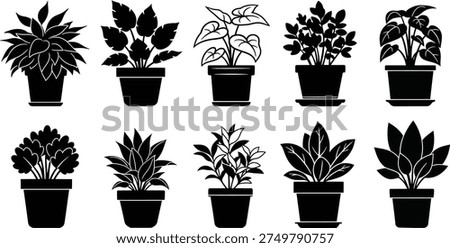 A collection of ten black silhouettes of potted plants with varying leaf shapes and pot styles on a plain white background.