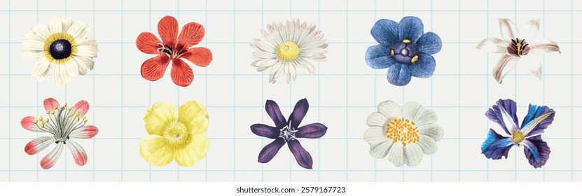 A collection of ten colorful flowers, each with unique petals and vibrant colors, displayed on a grid background. Floral variety and colorful petals stand out. Spring flower illustrations, vector set.