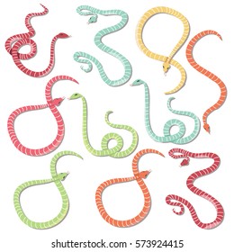 Collection of ten colorful striped snakes hand drawn, vector illustration