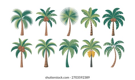 Colección de diez palmeras diferentes, aisladas en