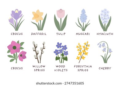 Collection of ten different spring flowers and plants with their names. Various spring blooms like crocuses, daffodils, tulips, and hyacinths.