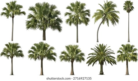 Colección de diez palmeras, cada una con una forma y tamaño únicos, que muestran la diversidad de estas plantas tropicales