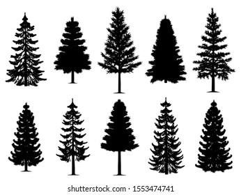 Collection of ten pine fir trees silhouettes