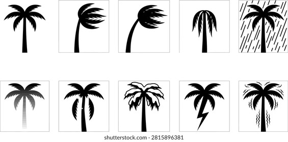 A collection of ten vector weather icons featuring palm trees in different weather conditions and states
