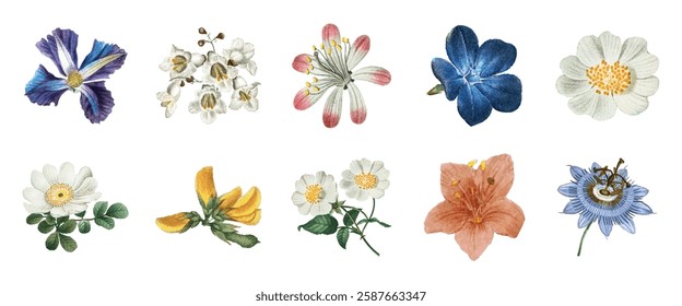 A collection of ten watercolor flowers, featuring diverse colors and shapes. Each flower is uniquely painted, showcasing artistic floral diversity and elegance. Botanical elements, vector set.