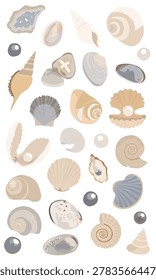 A collection of things found on the beach, such as shells, pearls, stones, and snails.