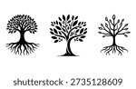 A collection of three black and white vector illustrations of trees with intricate root systems and varied leaf patterns. These artistic representations are ideal for concepts of nature growth and life.