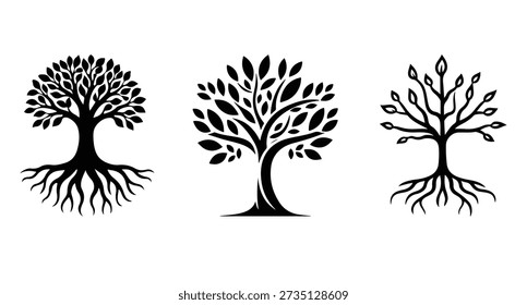 A collection of three black and white vector illustrations of trees with intricate root systems and varied leaf patterns. These artistic representations are ideal for concepts of nature growth and life.