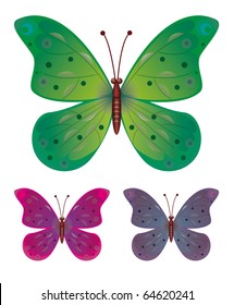 A collection of three butterflies