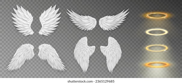 Collection of three dimensional angel white wings and shiny nimbus. Masquerade, festival, carnival costumes. Realistic saint aureole (halo) and wings isolated on transparent background