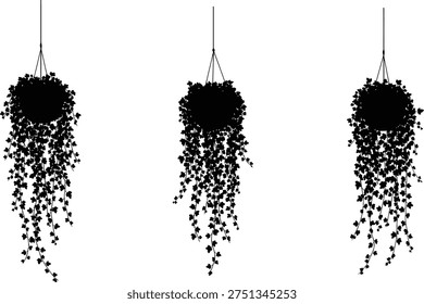 Collection of three hanging plant baskets, featuring trailing ivy vines in silhouette.