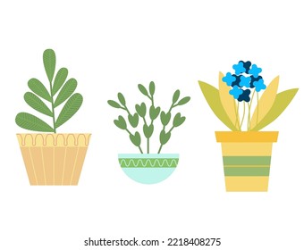Collection of three house plants. Vector illustration in flat style on white background.
