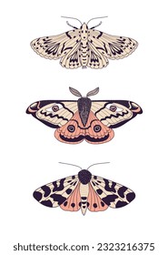Colección de tres meses. Mata de mimbre, polilla de emperador, polilla de jardín.  Varias de las bellas polillas sobre fondo blanco. Ilustración vectorial dibujada a mano. 