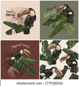 Collection of three prints and one  seamless pattern. Toucan bird on banana leaves. Textile composition, hand drawn style print. Vector illustration.