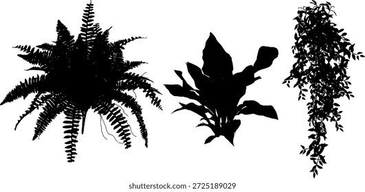 Coleção de três silhuetas de árvore realistas com folhas detalhadas e ramos. Árvores de vetor preto de alta qualidade isoladas sobre fundo branco. Perfeito para renderização arquitetônica, design de paisagem